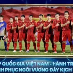 Cup Quoc Gia Viet Nam