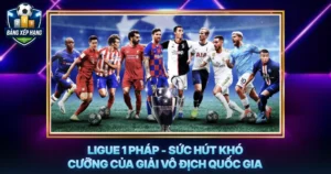 Ligue 1 Phap